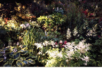 gardena.jpg
